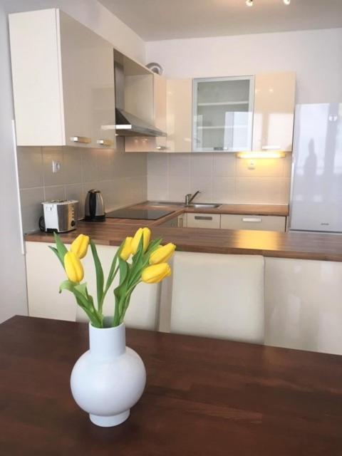 Sunshine Apartment Μακάρσκα Εξωτερικό φωτογραφία